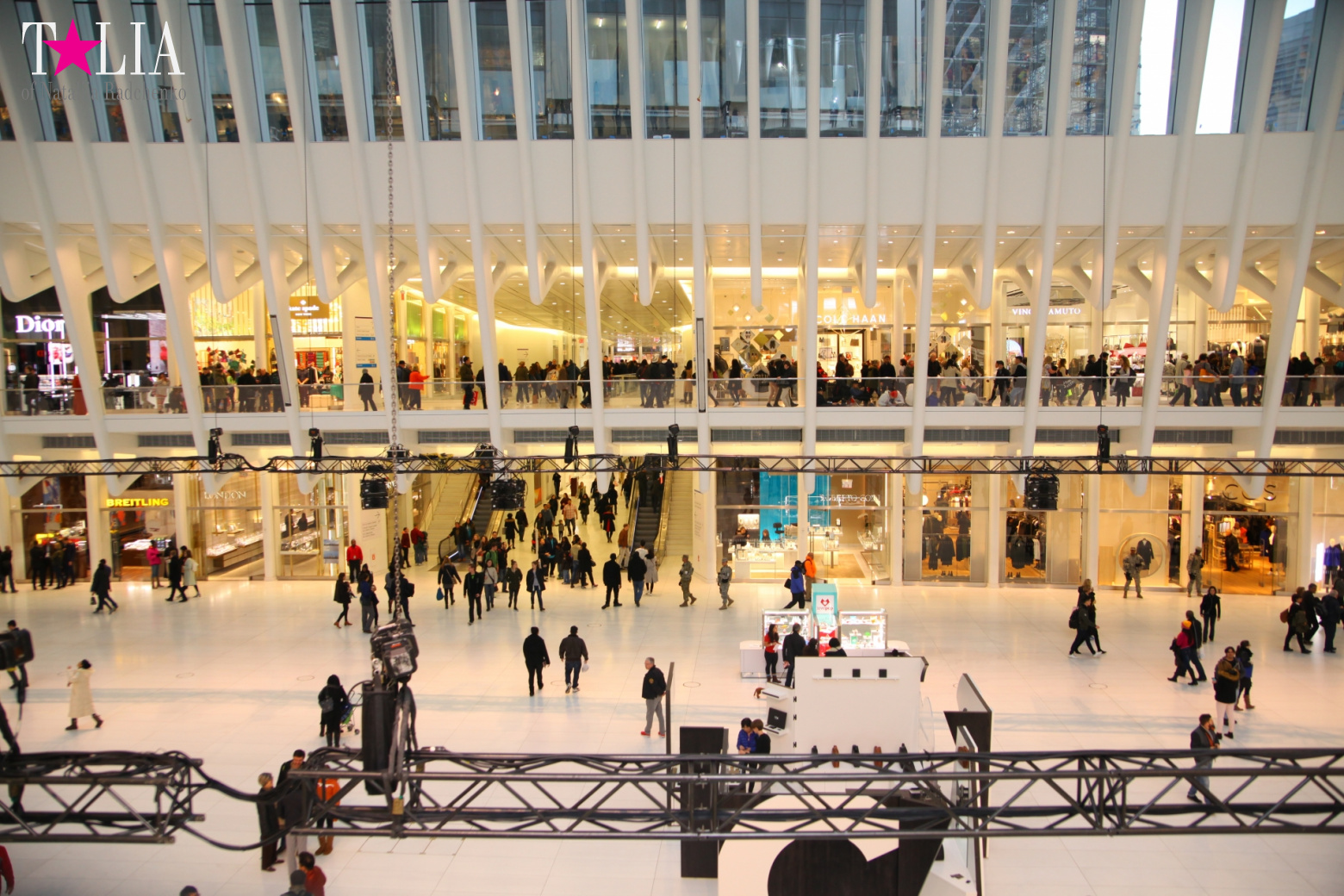 The most expensive train station and mall in the world. Oculus in New York City